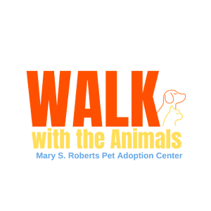 Team Page: HUB International